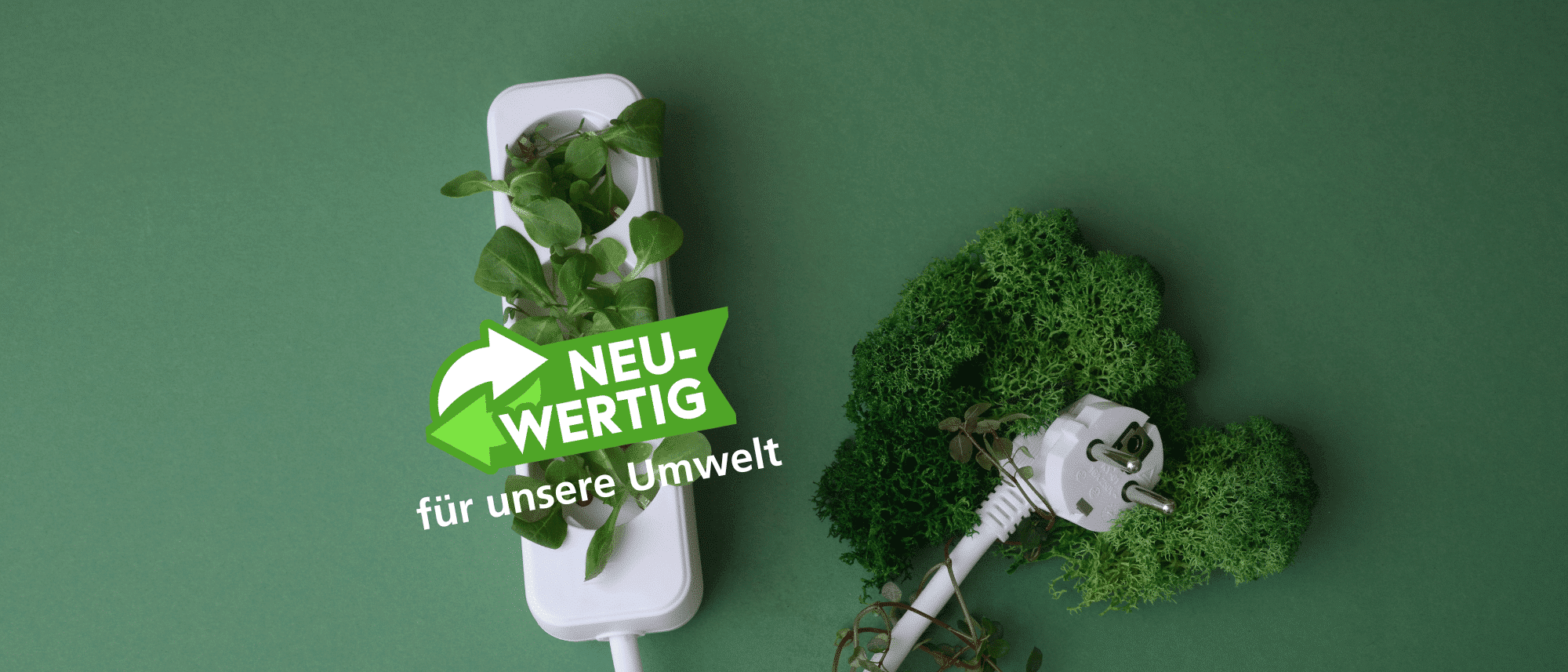 Steba Powerstrip mit Pflanzen, symbolisiert Nachhaltigkeit. Grüner Hintergrund und Steckdose betonen Umweltbewusstsein.